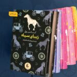 خرید کتاب زیبای سیاه از مجموعه رنگین کمان کلاسیک نشر افق