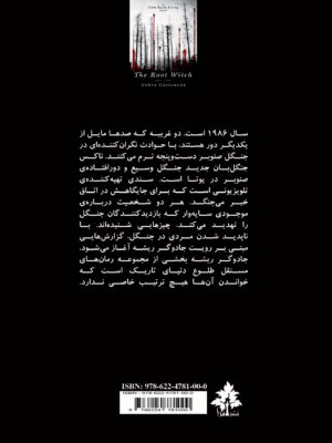 خرید کتاب جادوگر شیشه دبرا کستاندا نشر افرا