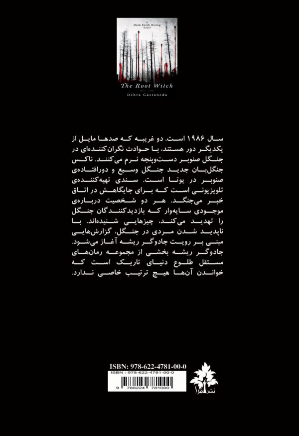 خرید کتاب جادوگر شیشه دبرا کستاندا نشر افرا