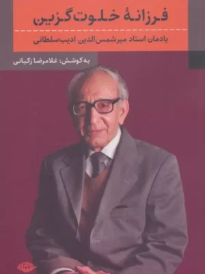 خرید کتاب فرزانه خلوت گزین اثر غلامرضا زکیانی نشر نگاه