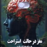 خرید کتاب مغز در حال استراحت اثر دکتر جوزف جبلی نشر صندوقچه