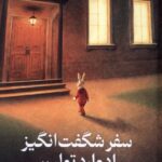 خرید کتاب سفر شگفت انگیز ادوارد تولین اثر کیت دی کامیلو نشر میلکان