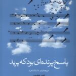 خرید کتاب پاسخ پرنده ای بود که پرید اثر افشین شاهرودی نشر بامداد