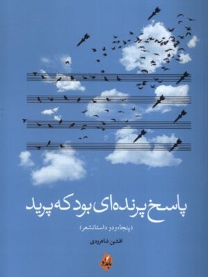 خرید کتاب پاسخ پرنده ای بود که پرید اثر افشین شاهرودی نشر بامداد
