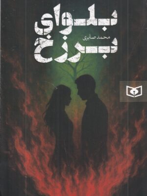 خرید کتاب بلوای برزخ اثر محمد صابری نشر قدیانی