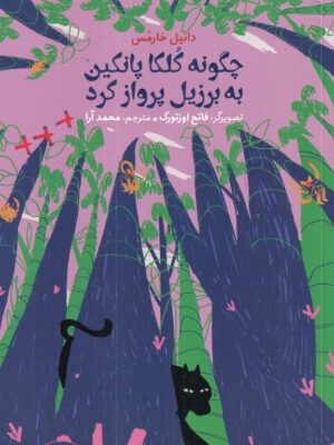 خرید کتاب چگونه کلکا پانکین به برزیل پرواز کرد اثر دانیل خارمس نشر واله