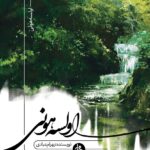 خرید کتاب اولسه هونی اثر بهرام عبادی نشر جامی