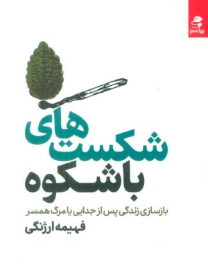 خرید کتاب شکست های باشکوه اثر فهیمه ارژنگی نشر بهارسبز