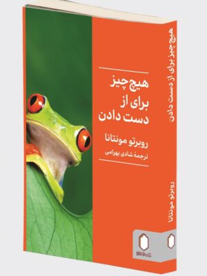 خرید کتاب هیچ چیز برای از دست دادن اثر روبرتو مونتانا نشر میردشتی