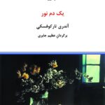 خرید کتاب یک دم نور اثر آندری تارکوفسکی نشر درون