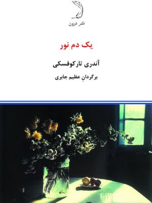 خرید کتاب یک دم نور اثر آندری تارکوفسکی نشر درون