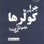 خرید کتاب چرا پدرها کولرها را خاموش می کنند اثر برزو سریزدی نشر خط خطی