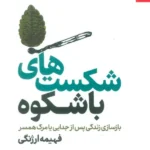 خرید کتاب شکست های باشکوه اثر فهیمه ارژنگی نشر بهارسبز