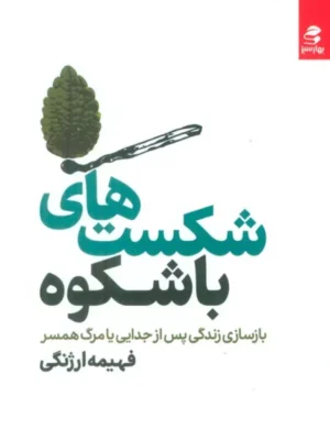 خرید کتاب شکست های باشکوه اثر فهیمه ارژنگی نشر بهارسبز