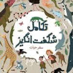 خرید کتاب تکامل شگفت انگیز (سفر حیات) اثر آنا کلیبورن نشر نو