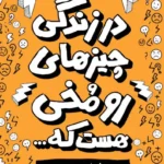 خرید کتاب در زندگی چیزهای رو مخی هست که اثر بن سدلی نشر بذرخرد