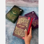 خرید کتاب مجموعه 3 جلدی تاج دوقلوها نشر مجازی (تاج دوقلوها تاج نفرین شده و تاج شعله ور) - تصویر 4