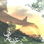 خرید کتاب غروب غریبانه دل اثر مهرداد انتظاری نشر آراسبان