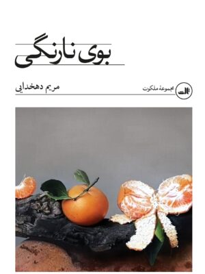 خرید کتاب بوی نارنگی اثر مریم دهخدایی نشر ثالث