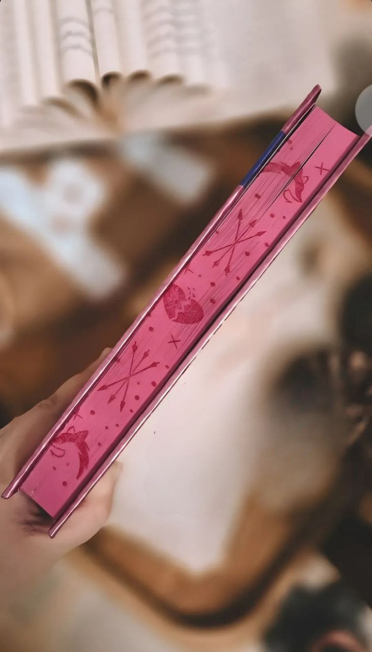 photo_2025-11-12_05-39-17