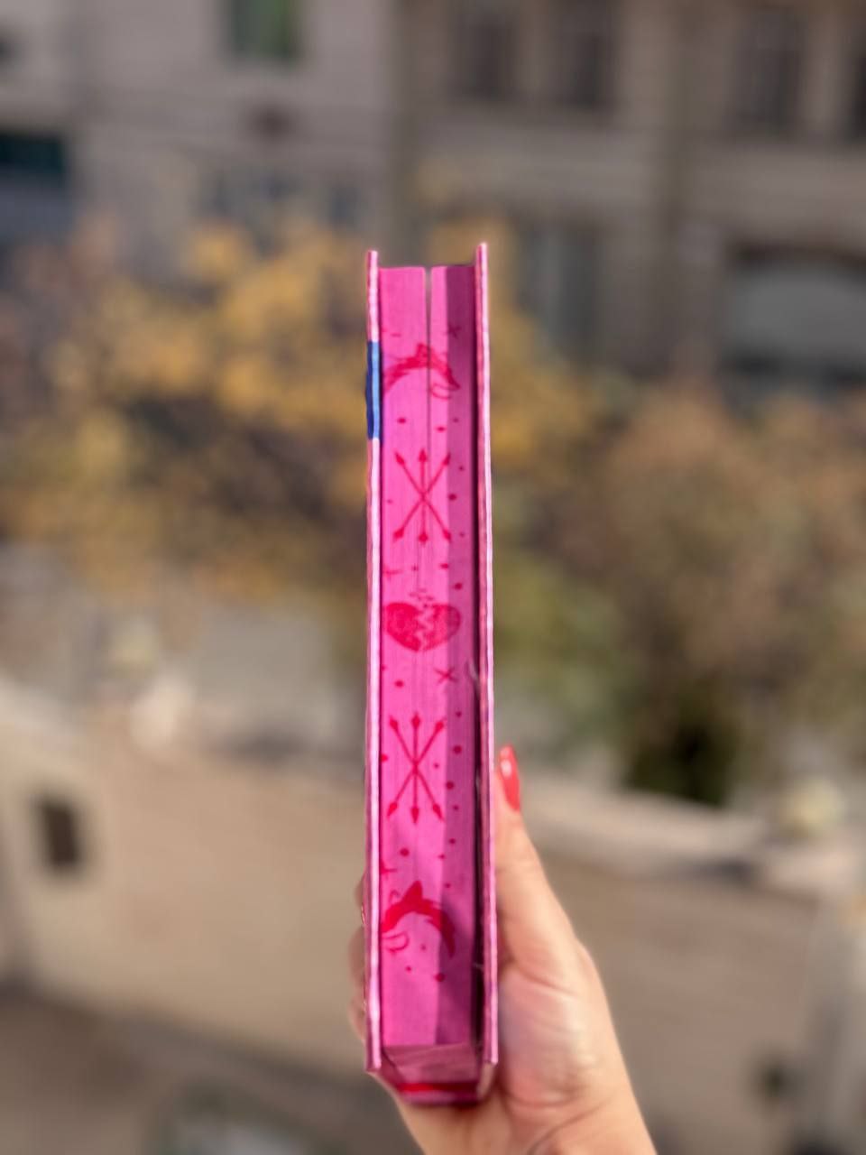 photo_2025-11-12_08-51-26