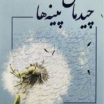 خرید کتاب چیدمان پینه ها اثر عطیه کریمی نشر میترا