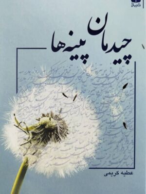 خرید کتاب چیدمان پینه ها اثر عطیه کریمی نشر میترا