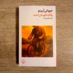 خرید کتاب ولگرد قهرمان است اثر جووانی آرپینو نشر فرهنگ جاوید