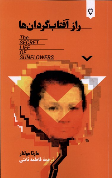 360798 خرید کتاب راز آفتاب گردان ها اثر مارتا مولنار نشر نقش و نگار