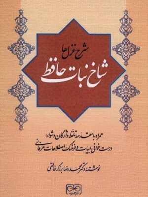 خرید کتاب شاخ نبات حافظ نوشته دکتر محمدرضا برزگر خالقی نشر گستره