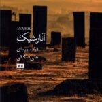 خرید کتاب آنارشیک اثر فواد سویمای نشر هیرمند