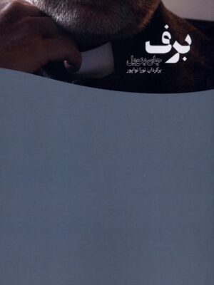 خرید کتاب برف اثر جان بنویل نشر یادآرمیتا