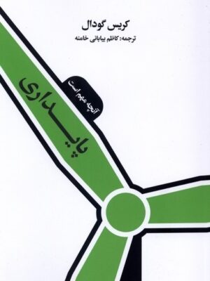 خرید کتاب پایداری آنچه مهم است اثر کریس گودال نشر ایجاد