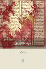 خرید کتاب درد اشتیاق اثر نیما قربانی نشر بینش نو
