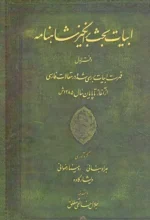 خرید کتاب ابیات بحث برانگیز شاهنامه دفتر اول نشر میراث مکتوب
