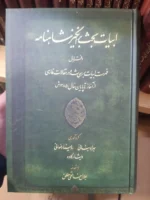 خرید کتاب ابیات بحث برانگیز شاهنامه دفتر اول نشر میراث مکتوب - تصویر 2
