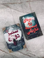 خرید کتاب مجموعه 2 جلدی پنجره ای رو به تاریکی و ستیز دوتاج نشر پرتقال - تصویر 2