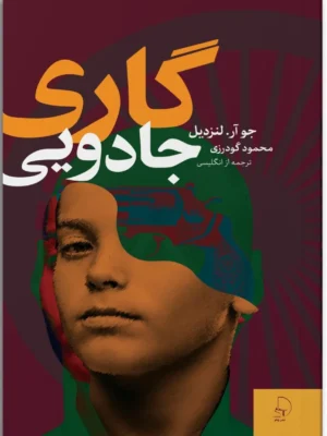 خرید کتاب گاری جادویی اثر جو آر لنزدیل نشر چام
