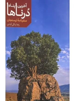 خرید کتاب آخرین پناه درناها ، سفرنامه ارسنجان اثر رضا زنگی آبادی نشر اطلاعات