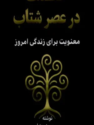خرید کتاب حکمت در عصر شتاب اثر محبوبه بهنیا نشر نوراشراق