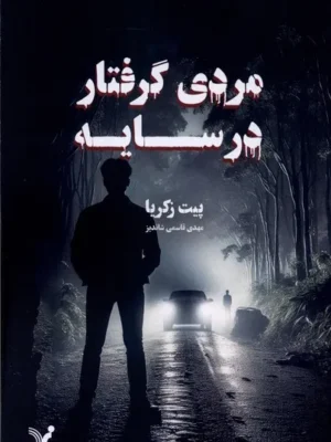 خرید کتاب مردی گرفتار در سایه اثر پیت زکریا نشر تندیس