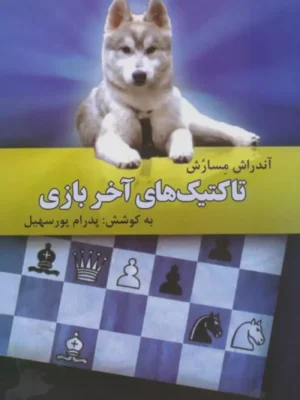 خرید کتاب تاکتیک های آخر بازی اثر آندراش مسارش نشر فرزین