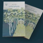 خرید کتاب چشم های اینشتین اثر ساناز اسدی نشر چشمه