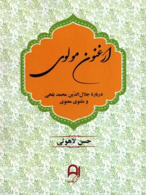 خرید کتاب ارغنون مولوی اثر حسن لاهوتی نشر نامک