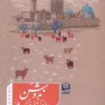 خرید کتاب ندوشن ، روایتی از تاریخ و فرهنگ عامه اثر محمدحسین رافی