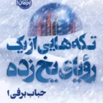 خرید کتاب تکه هایی از یک رویای یخ زده اثر سویونگ پارک نشر پرتقال