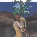 خرید کتاب در تدارک زندگی نکرده اثر مائده مرتضوی نشر چشمه
