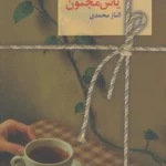 خرید کتاب یاس مجنون 2 جلدی اثر الناز محمدی نشر سخن