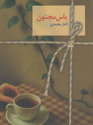 خرید کتاب یاس مجنون 2 جلدی اثر الناز محمدی نشر سخن