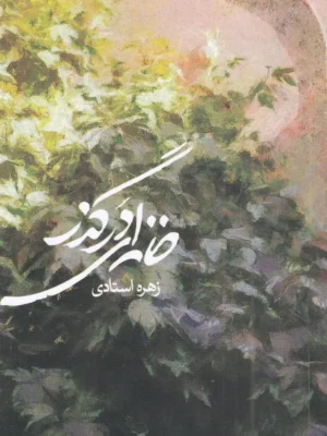 خرید کتاب خانه ای در گذر اثر زهره استادی نشر نوسده